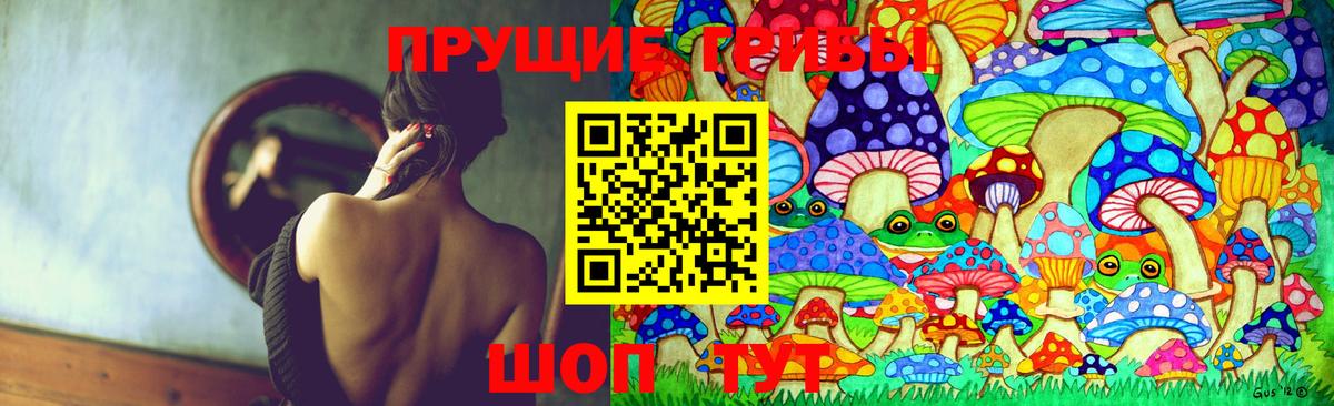 Сафоново  что такое   Псилоцибиновые грибы Psilocybe  Вход с VPN  Галлюциногенные грибы Cubensis 
